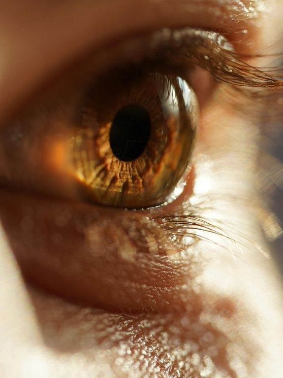What types of contact lenses do you provide?